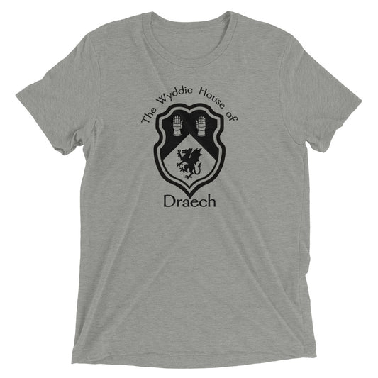 Adult Unisex Triblend Tee (Draech)